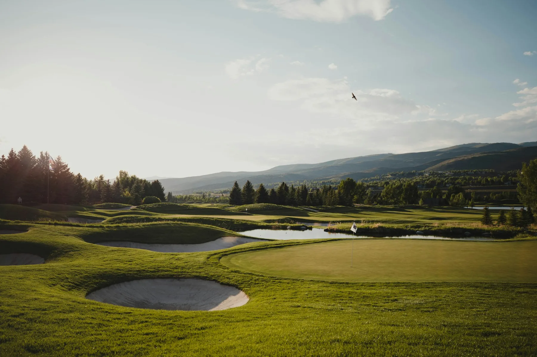 A golf course green and flag at golden hour